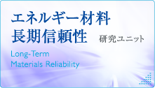 エネルギー材料長期信頼性