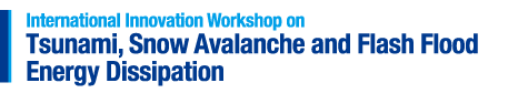International Innovation Workshop on Tsunami, Snow Avalanche and Flash Flood Energy Dissipation 津波・雪崩・洪水ワークショップ 東北大学