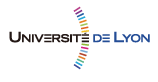 L'Université de Lyon